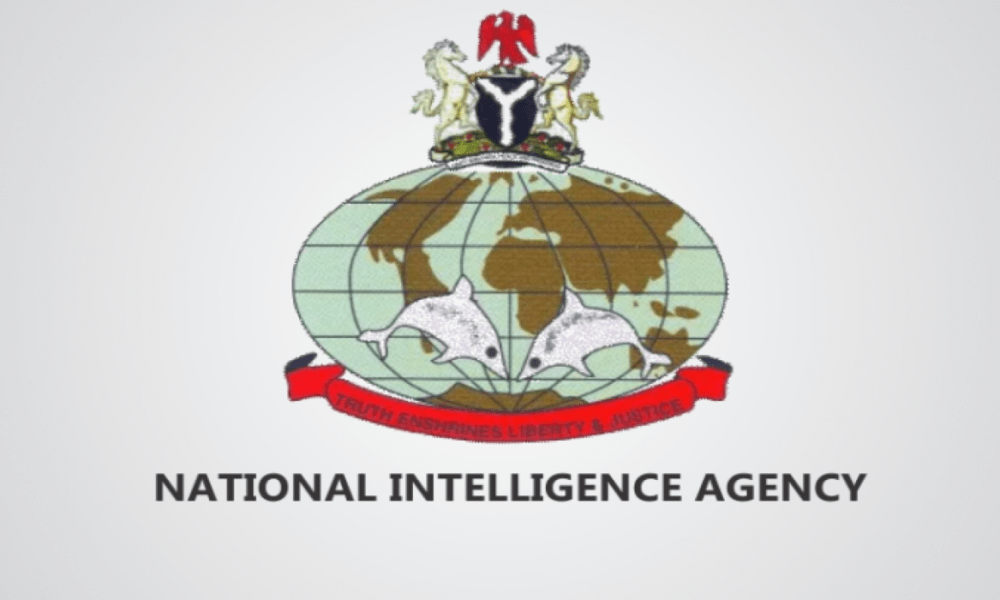 NIA Recruitment 2024/2025 Application Form Portal www.nia.gov.ng