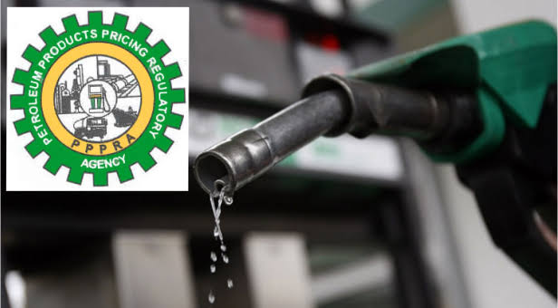 PPPRA Recruitment 2023/2024 Form Portal | www.pppra.gov.ng PPPRA Recruitment 2023/2024 Form Portal | www.pppra.gov.ng