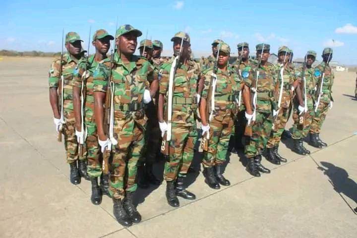 Zambia Air Force Recruitment 2023/2024 Form Portal