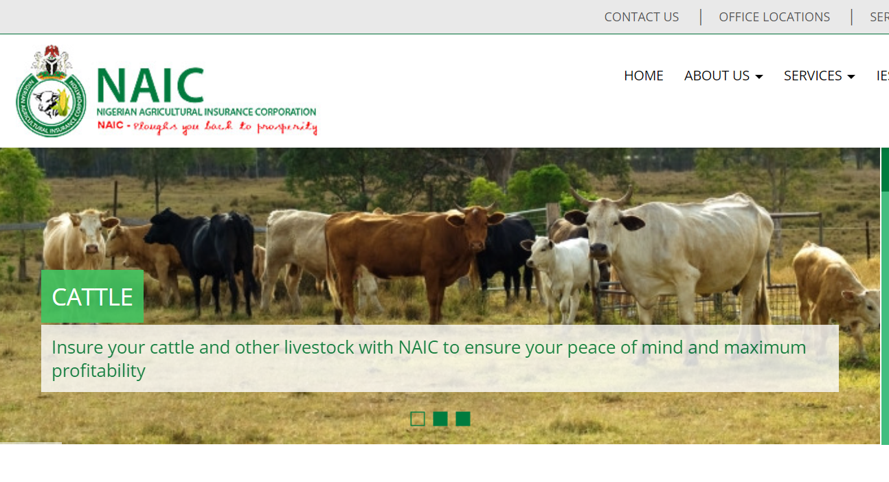 NAIC Recruitment 2023/2024 Application Form Portal