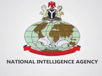 NIA Shortlisted Candidates 2024/2025 Is Out | NIA PDF Final List