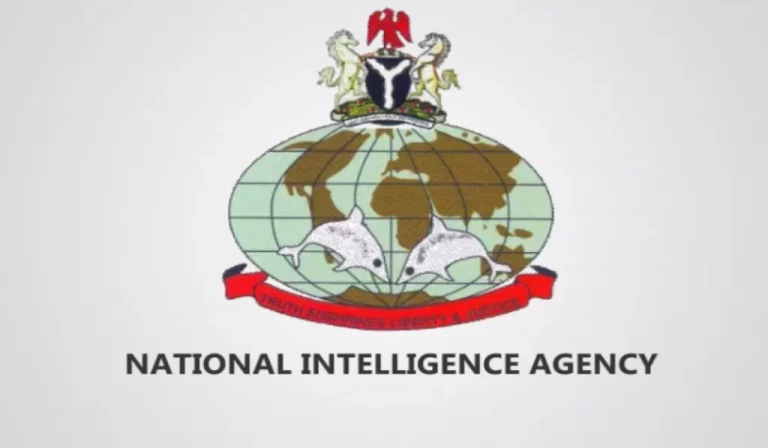 NIA Shortlisted Candidates 2024/2025 Is Out | NIA PDF Final List