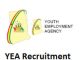YEA Recruitment 2024/2025 Application Form Portal